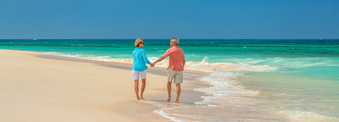 Panoramic beach view with retired couple holding hands