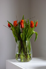 Rote Tulpen in Vase