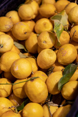 Zitronen mit Blättern