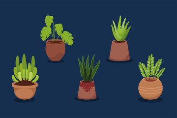 five houseplants decorative icons