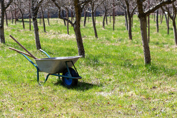 Wheelbarrow with tools, shovels, rakes standing in the garden. Beginning of seasonal spring work in the garden. Gardening.