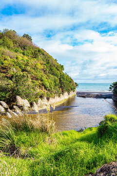  The nature of New Zealand.