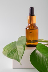 Essential oil on a gray background on white podium, mockup. Cosmetic medical beauty product in brown glass bottle with a pipette for aromatherapy, alternative medicine. Natural aromatic routine.