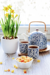 Tea time. A tea set with small blue patterns, candied fruits. Daffodils in a white ceramic vase. Photo