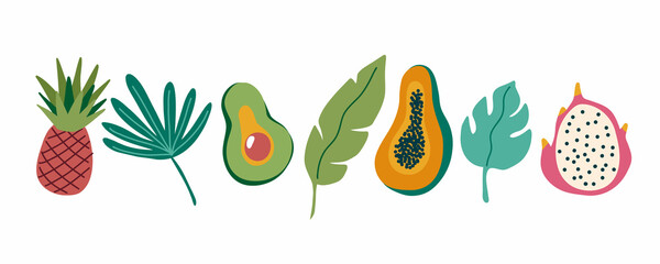 Summer tropical leaves and fruits. Avocado, dragon fruit, papaya, monstera, banana leaf, palm leaf. Vector cartoon collection illustration on a white background.