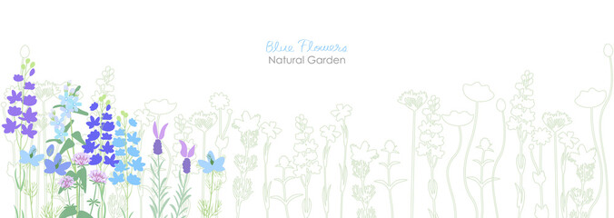さわやかな青い草花のナチュラルガーデン