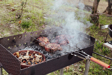 meat on the barbecue