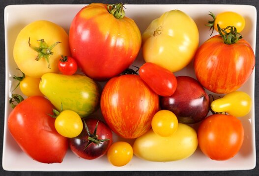 Colorful tomatoes.