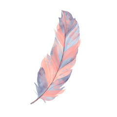 Watercolor illustration feather for  embellishments, handicrafts, stationery, greeting cards, party invitations, scrapbooking, posters, stickers