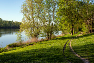 Rivage du fleuve Saône autour de Beauregard-sur-Saône dans le département de l'Ain au printemps