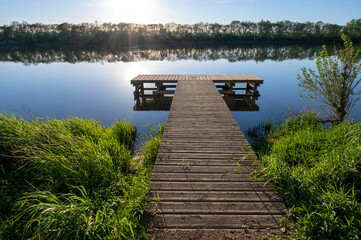 Fototapeta premium Rivage du fleuve Saône autour de Beauregard-sur-Saône dans le département de l'Ain au printemps