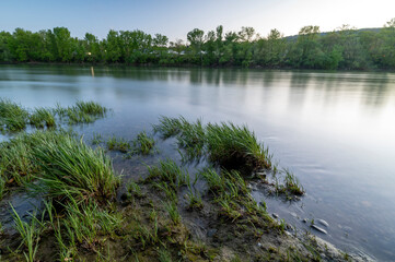 Berges du fleuve Saône autour de Fontaines-sur-Saône dans le département du Rhône au printemps