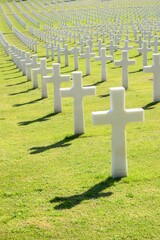 The white crosses of the war cemetery in Florence