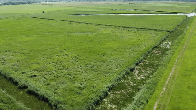 Aerial shot of Lithuanian meadows. Rusnė. &Scaron;ilutė. 4 4K 25fps
