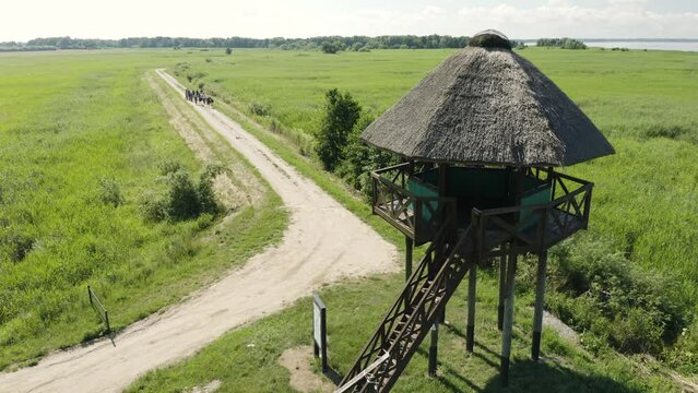 Aerial shot of observation tower Lithuania. 4K 25fps
