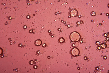 Bright abstract bubbles or water drops background. Natural backdrop.