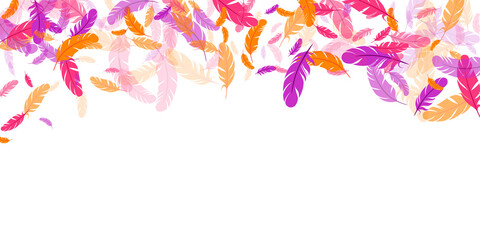 Orange purple pink red feather floating background