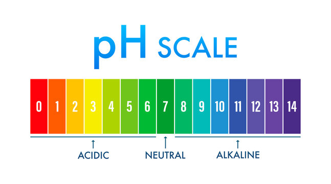 pH value scale meter. pH analysis chemical scale value test. Vector stock illustration.