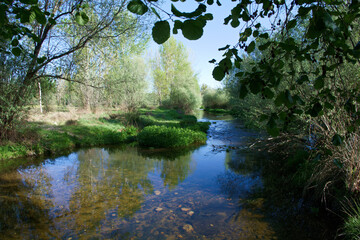 rzeka krajobraz widok woda natura przyroda - obrazy, fototapety, plakaty