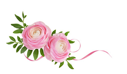 Pink ranunculus flowers in a corner floral arrangement with silk ribbon isolated on white