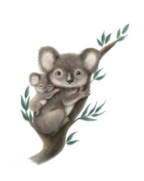 Cute Illustration of Koala Mother and Child