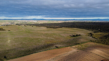 krajobraz widok pola wiosna rośliny  © Piotr