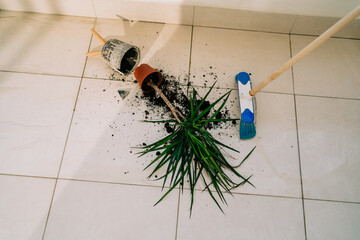Broken flower pot on the floor with spilled soil and damaged plant. Wiping floor with mop. Home chores - cleaning the dirt. Flower accident with shattered ceramic pot and messy dirt on the balcony.