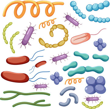 Set of bacteria and virus icons