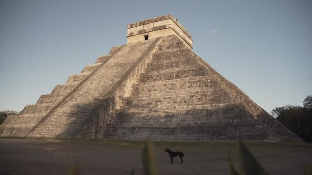 Side Facade of Ancient Mayan Temple El Castillo Alight in the Afternoon Sun with a Dog Standing in Front of It - Fixed Shot