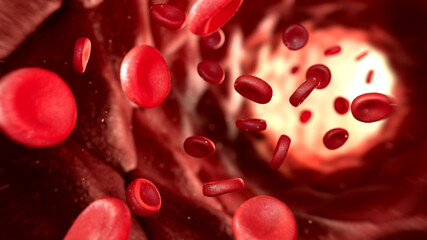 Red blood cells flowing through capillary, illustration