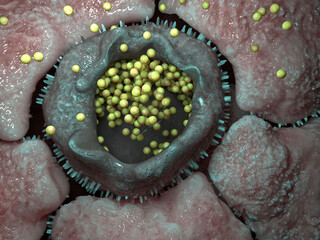 Chlamydia bacterial infection , illustration