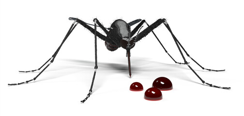Mosquito and blood disease, conceptual illustration
