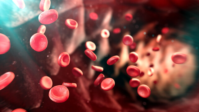 Red blood cells, illustration