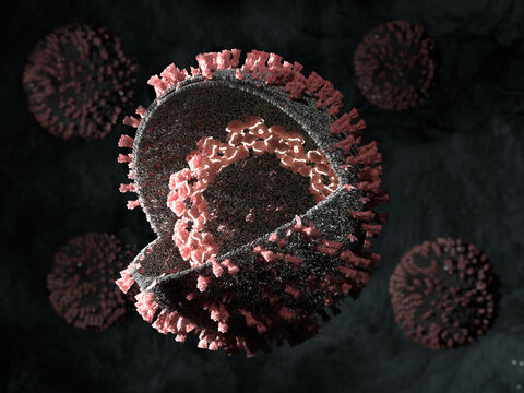 Coronavirus, illustration