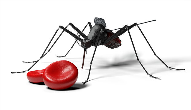 Mosquito-borne diseases, conceptual illustration