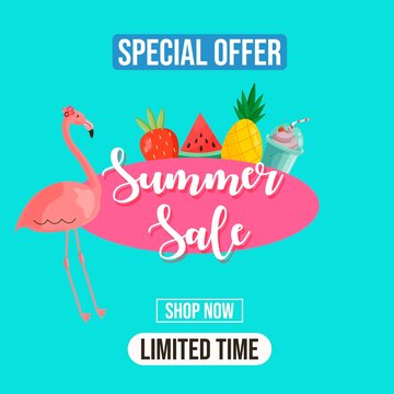 Summer sale banner.  Background with tropical fruits and  flamingo. Decorative flat design illustration