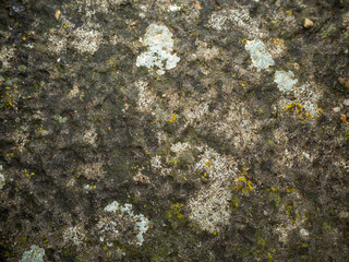 imagen textura de una piedra cortada a golpes con moho amarillo y blanco
