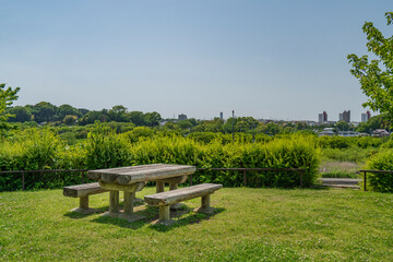 引地川親水公園の緑地の風景【神奈川県・藤沢市】