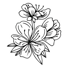 Sketch of spring flowers of quince, almond, apple tree branches with buds and flowers. Hand draw botanical doodle vector illustration in black contrast with white fill.