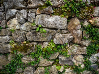 imagen textura pared de piedras de distintos tamaños con algunas plantas en medio 