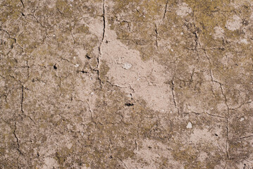 brown-green surface grunge concrete cement stone wall texture background photo