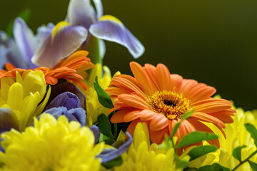 Close-up of spring flowers