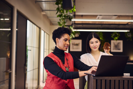 Portrait Of Mature Black Woman And Mid Adult Chinese Female Colleague Using Laptop In Open Plan Office Space