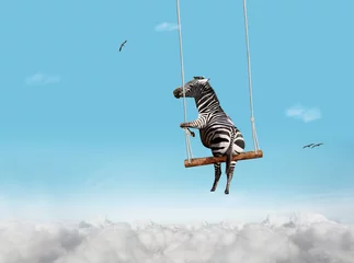  Zebra swinging on swing bar over blue sky with clouds © Sergey Novikov