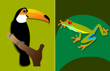 tropical toucan and glass frog illustration