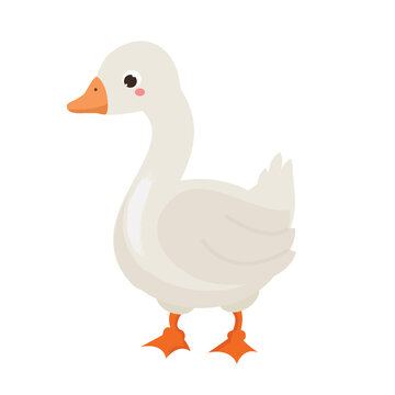 Cartoon goose. Farm bird character