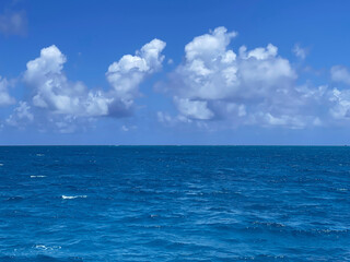 Fototapeta premium 観光スポット・黒島の海（八重山諸島・沖縄）