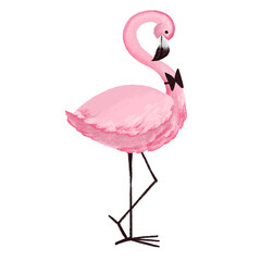 Flamingo on white isolated background. Vector illustration