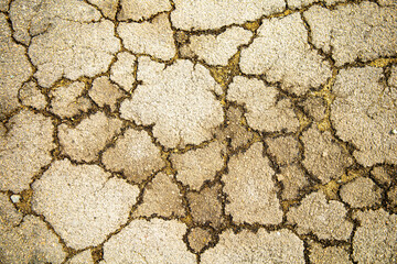 Cracked old asphalt, not high-quality coating, texture.
