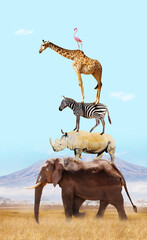 Many Africans animal on top of each other over Kilimanjaro